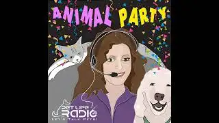 Animal Party Episode 191 Lost Cat Returns After 8 Years!