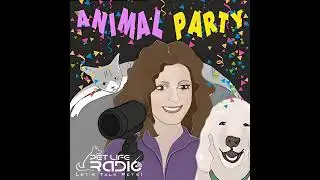 Animal Party Episode 252 Whisks, Whiskers & Winter Wisdom