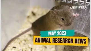 Animal Research News (May 2023)