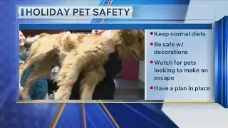 Animal Safety for Holidays 12/22/25