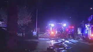 Animals rescued in Peoria house fire