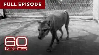 Animals that Faced Extinction | 60 Minutes Full Episodes