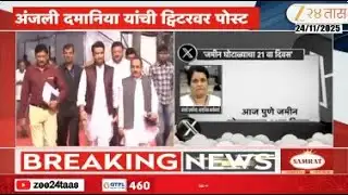 Anjali Damania On Parth Pawar | 