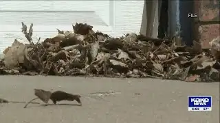 Annual April burn ban starts Tuesday