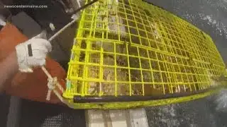 Annual Maine fisherman