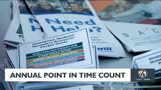 Annual point in time count