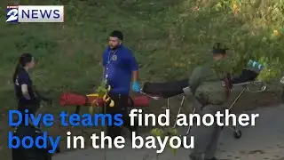 Another body found in Houston