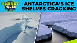 Antarctica’s Thwaites Glacier Cracks Widening Amid Global Ice Loss Crisis | Planet  Pulse
