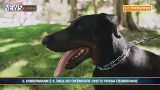 Anteprima News 12 Marzo 2025