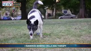 Anteprima News 15 Maggio 2025