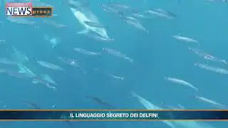 Anteprima News Del 27 Marzo 2025