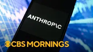 Anthropic says Chinese hackers used its AI chatbot in cyberattack