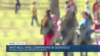 Anti-bullying campaigns in schools
