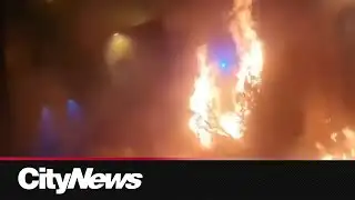 Anti-government protests continue in cities throughout Iran