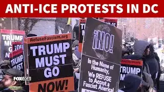 Anti-ICE protests push DC businesses to close