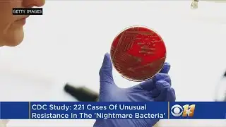 Antibiotic Resistant ‘Nightmare Bacteria’ Spreading In U.S., CDC Warns