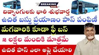 మగవారికి బారి శుభవార్త | Ap Free Bus Scheme For Disabled Persons | Ap Free Bus Application