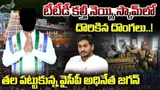 టీటీడీ కల్తీ నెయ్యి స్కామ్‌లో దొరికిన దొంగలు..AP Govt Transfers TTD EO Singhal In laddu Row | Jagdev