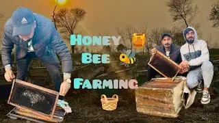 Ap Logo Ke Demand PaR  Honey bee 🐝farm Visit🐝