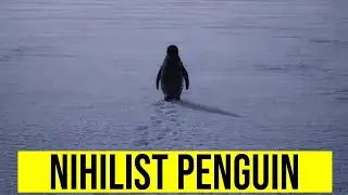 Apa Maksud Sebenarnya Dari Nihilist Penguin?