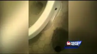 Apartment residents worry about sewage problems