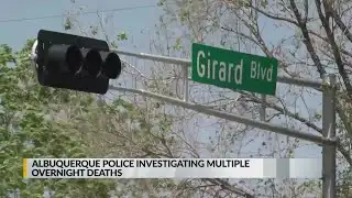 APD investigates two overnight homicides
