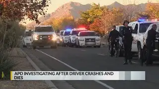 APD investigating after driver crashes, dies