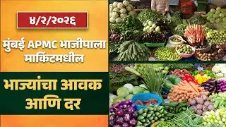 मुंबई APMC मार्केटमधील सर्व भाजीपाला आवक आणि दर | Apmc News 4/2/2026