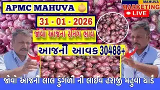 જોવો આજની લાલ ડુંગળી ની લાઈવ હરાજી | APMC MAHUVA | આજની આવક 30488+ થેલા આખી |
