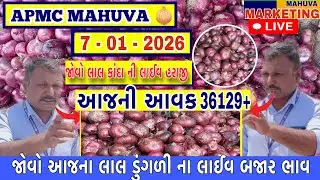 જોવો આજની લાલ ડુંગળી ની લાઈવ હરાજી | APMC MAHUVA | આજની આવક 36129+ થેલા આખી |