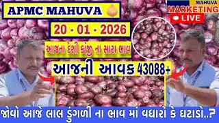 જોવો આજની લાલ ડુંગળી ની લાઈવ હરાજી || APMC MAHUVA આજની આવક 43088+ થેલા આખી ||