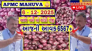 આજે નવી ડુંગળી માં થોડી તેજી જોવા મળી || APMC MAHUVA || આજની આવક 6567+ થેલા આખી ||