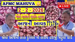 જોવો આજની લાલ ડુંગળી ની લાઈવ હરાજી | APMC MAHUVA | આજની આવક 77178+ થેલા આખી |
