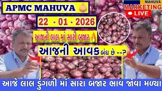 જોવો આજની લાલ ડુંગળી ની લાઈવ હરાજી | APMC MAHUVA | આજની પડતર આવક છે આવક બંધ છે | 
