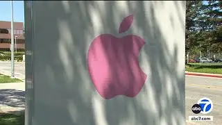 Apple shareholders reject plan to scrap company