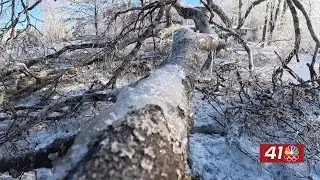 Arctic blast brings record-breaking cold to Washington, D.C. and eastern U.S.