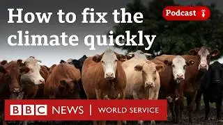 Are there any quick solutions for climate change? - The Climate Question podcast, BBC World Service