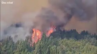 Argentina Battles Raging Wildfires as Patagonia Forests Face Major Threat