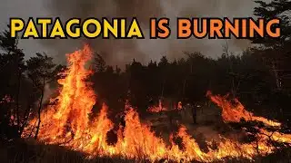Argentina Devastated: Massive Wildfires Swallow Patagonia Forests