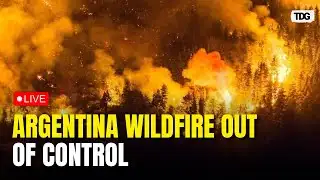 Argentina Wildfire Live: Patagonia Blazes Rage As Fire Emergency Declared Amid Crisis | TDG