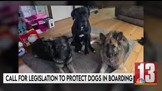 Argyle couple calls for legislation to protect dogs in boarding