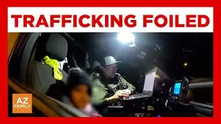 Arizona deputies bust alleged child smuggling operation
