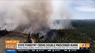 Arizona forestry crews double prescribed burns