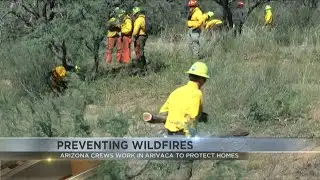 Arizona forestry crews start projects to limit spread of fires