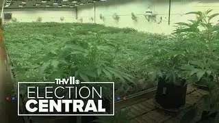 Arkansas group submits more than 150K signatures for medical marijuana amendment