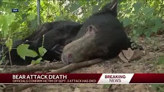 Arkansas man has died after bear attack
