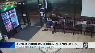 Armed robbers terrorize employees