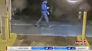 Arrest in Sculpture Walk vandalism