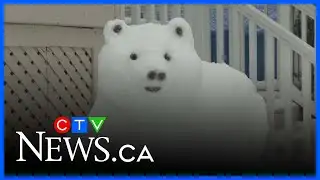 Artist puts snowfall to good use and creates art