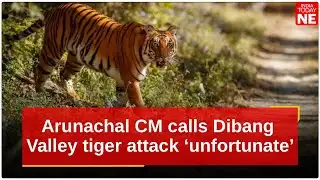 Arunachal CM calls Dibang Valley tiger attack ‘unfortunate’, orders Rs 10 lakh ex gratia